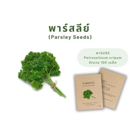 เมล็ดพันธุ์พาล์สลีย์ LETPOT ไทย ออแกนิค ฟาร์ม_2